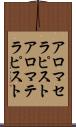 アロマセラピスト Scroll