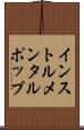 インストルメンタルポップ Scroll