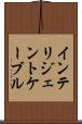 インテリジェントケーブル Scroll
