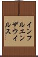 インフルエンザウイルス Scroll