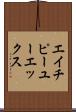 エイチピーユーエックス Scroll