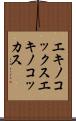 エキノコックス Scroll