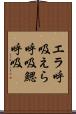 エラ呼吸 Scroll