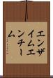 エンザイム Scroll