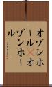 オゾンホール(P) Scroll