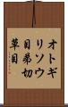 オトギリソウ目 Scroll