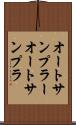 オートサンプラー Scroll