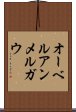 オーベルアンメルガウ Scroll