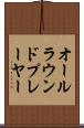 オールラウンド・プレーヤー Scroll