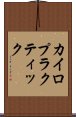 カイロプラクティック Scroll