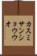 カスミサンショウウオ Scroll