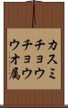 カスミチョウチョウウオ属 Scroll