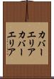 カバーエリア Scroll