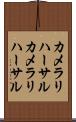 カメラリハーサル Scroll