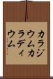 カラジウム Scroll