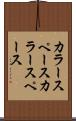 カラースペース Scroll