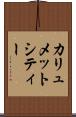 カリュメットシティー Scroll