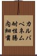 カルバペネム耐性腸内細菌 Scroll