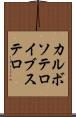 カルボソテロイブステロ Scroll