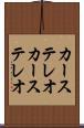 カーステレオ Scroll