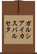 ガルシアイカスバルセタ Scroll