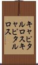 キャピタルロス Scroll