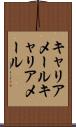 キャリアメール Scroll