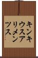 キンキウスアリメンツス Scroll