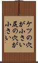ケツの穴が小さい Scroll