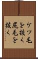 ケツ毛を抜く Scroll