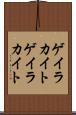 ゲイラカイト Scroll