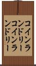 コインランドリー Scroll