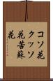 コソ花 Scroll