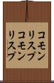 コモンリスプ Scroll