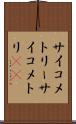 サイコメトリー Scroll