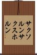 サクソルン Scroll