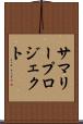 サマリープロジェクト Scroll