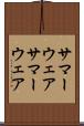 サマーウェア Scroll