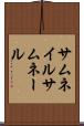 サムネイル Scroll