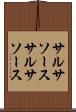 サルサソース Scroll