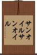 サンオイル Scroll