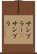 サンプラー(P) Scroll