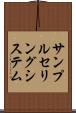 サンプルセリングシステム Scroll