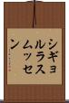 シギョルラスムッセン Scroll