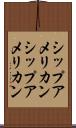 シップアメリカン Scroll