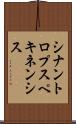 シナントロプスペキネンシス Scroll