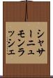 シャサーニュモンラッシェ Scroll
