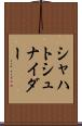 シャハトシュナイダー Scroll
