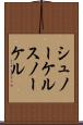 シュノーケル Scroll