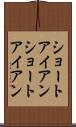 ショートアイアン Scroll